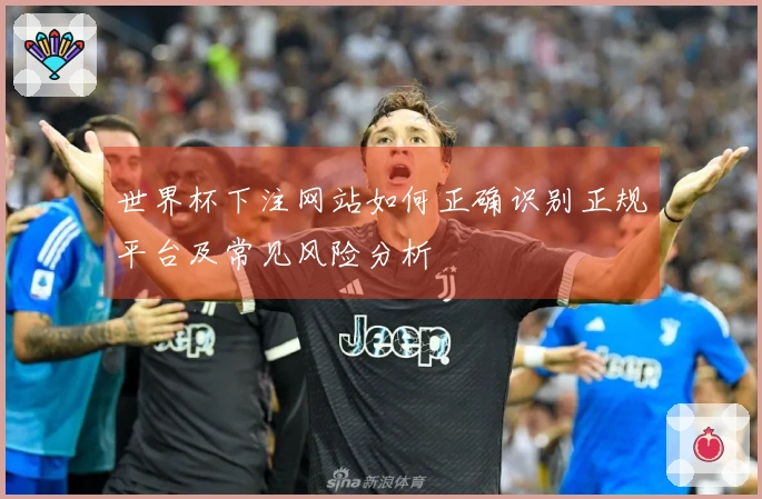 世界杯下注网站如何正确识别正规平台及常见风险分析