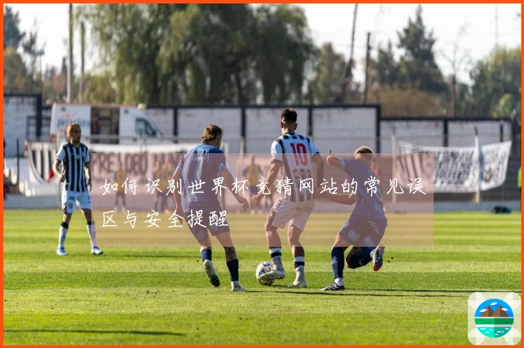 如何识别世界杯竞猜网站的常见误区与安全提醒