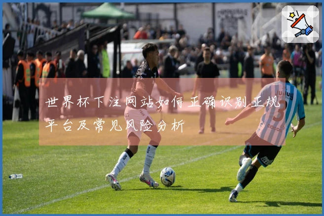 世界杯下注网站如何正确识别正规平台及常见风险分析