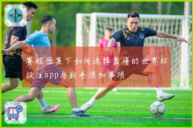 赛程密集下如何选择靠谱的世界杯投注app与新手须知事项